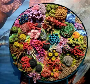 Allet 01 Kleurrijke Textiele werkvormen